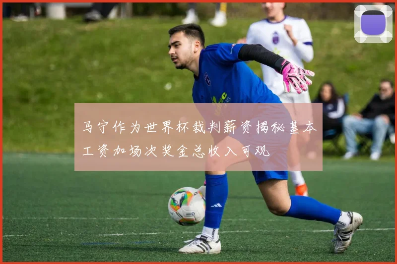 马宁作为世界杯裁判薪资揭秘基本工资加场次奖金总收入可观